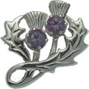 Small Scottish Thistle and Amethyst Brooch CB34